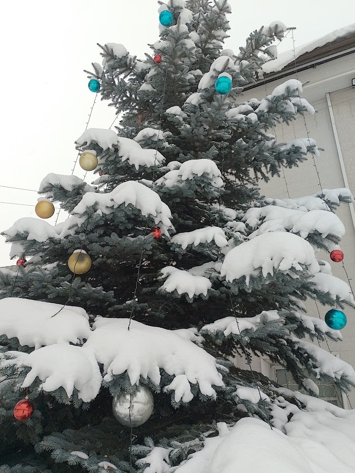 Фото автора.