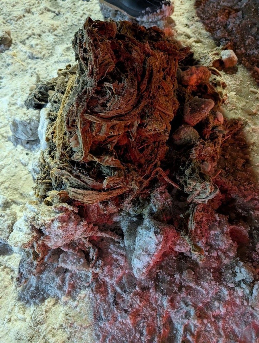    Фото: Водоканал Петербурга / Фото: t.me/VDKSPB