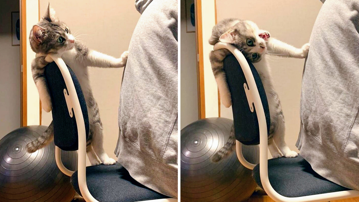 Уйди с моего места!