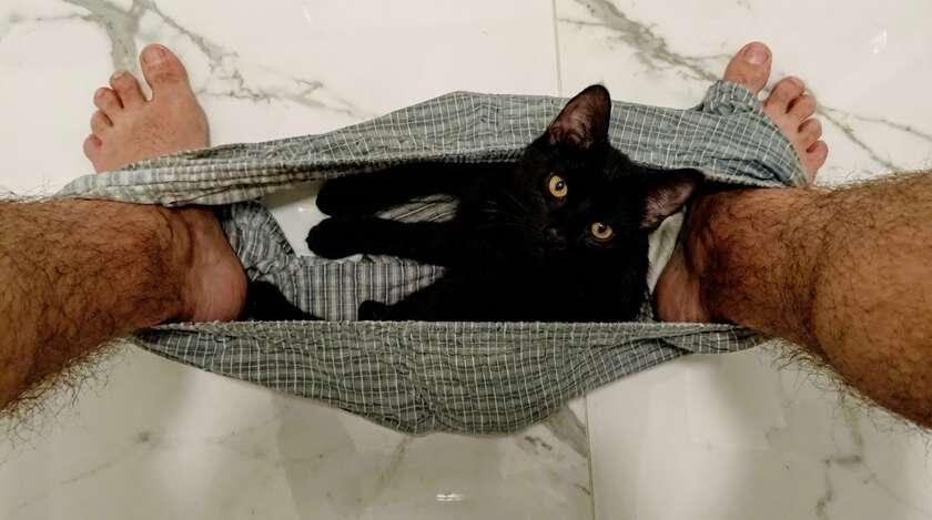 Хорошо сидим... уютненько. ЕЩЕ фото --->>