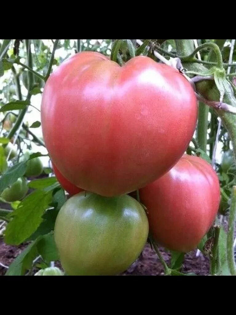   📷
