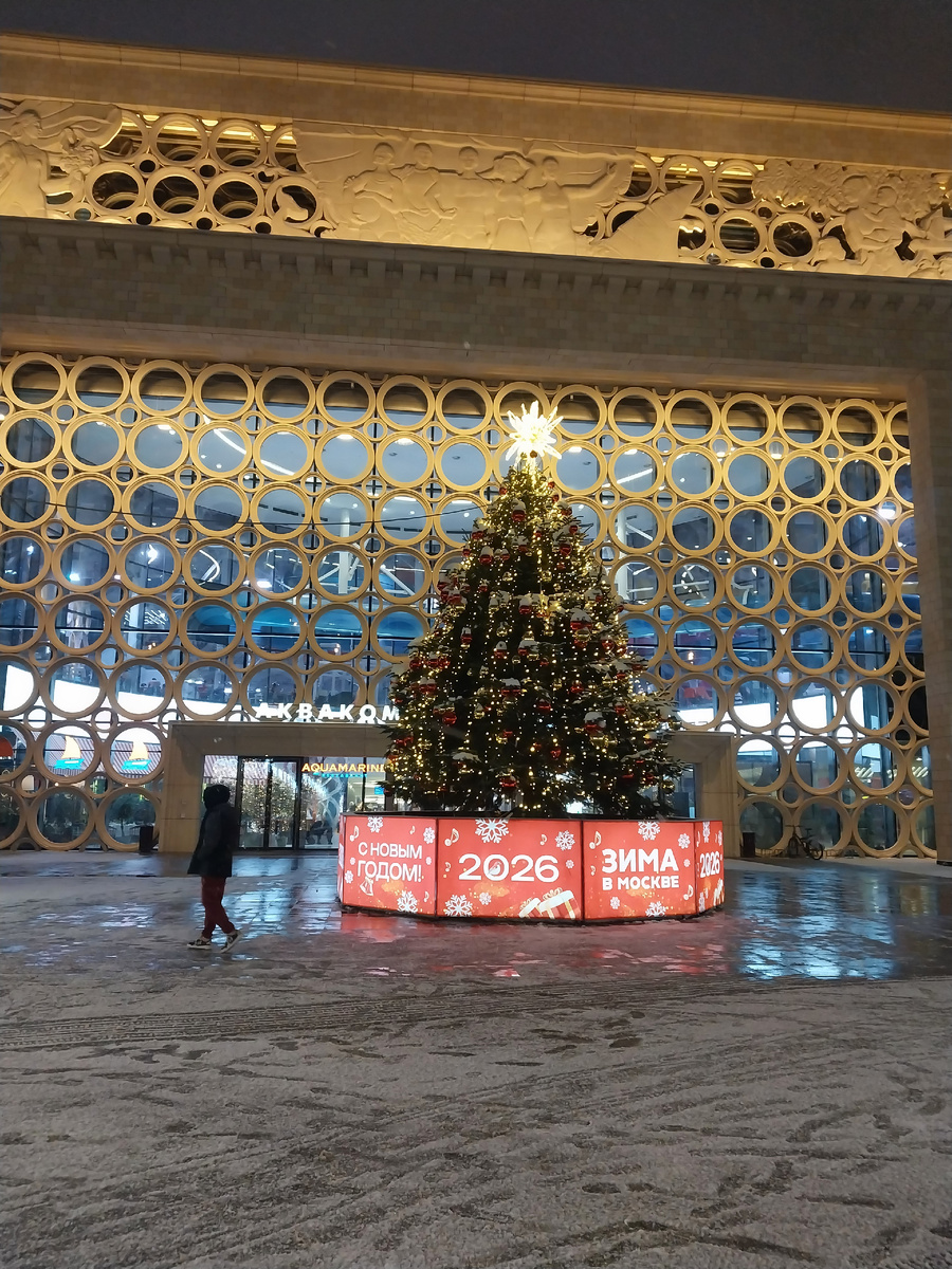 Аквакомплекс Лужники и ёлка. Фото автора