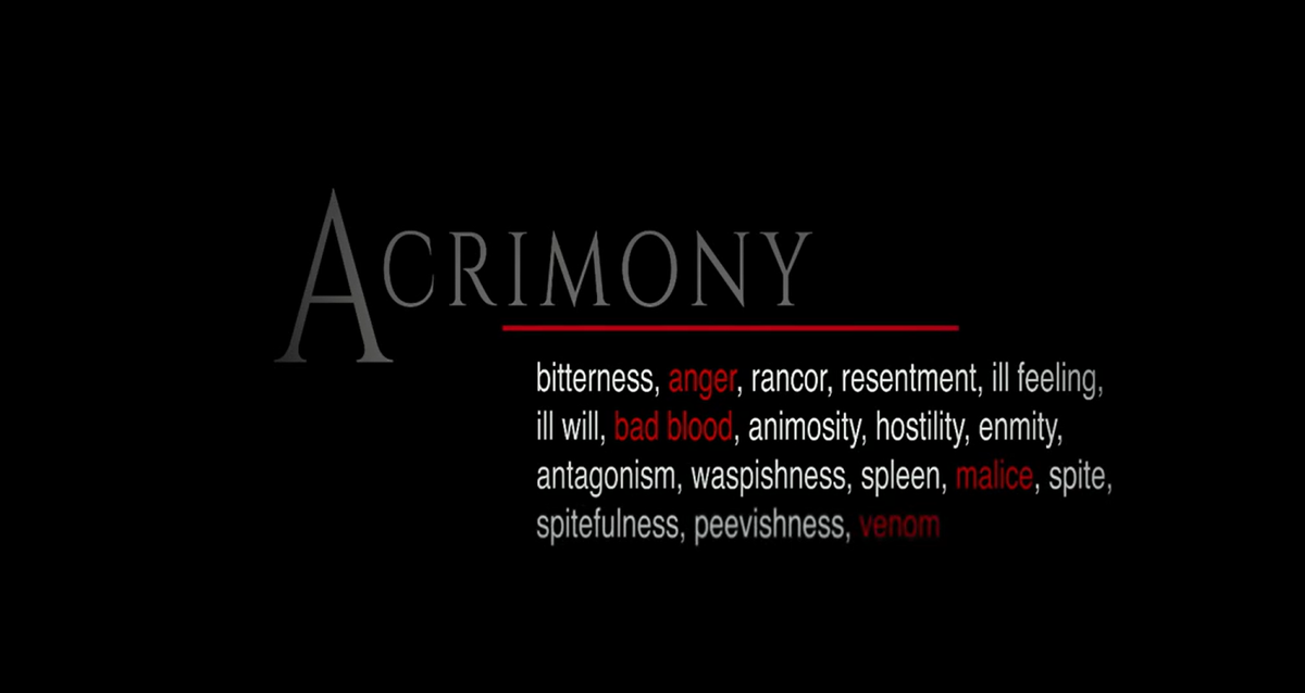 Мне очень понравилась идея со вставками из словаря (эти ключевые слова становились обозначением глав /частей фильма для лучшего восприятия  происходящего)