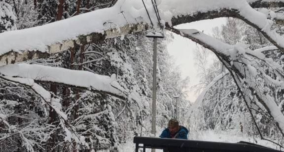    пресс-служба "Янэнерго"