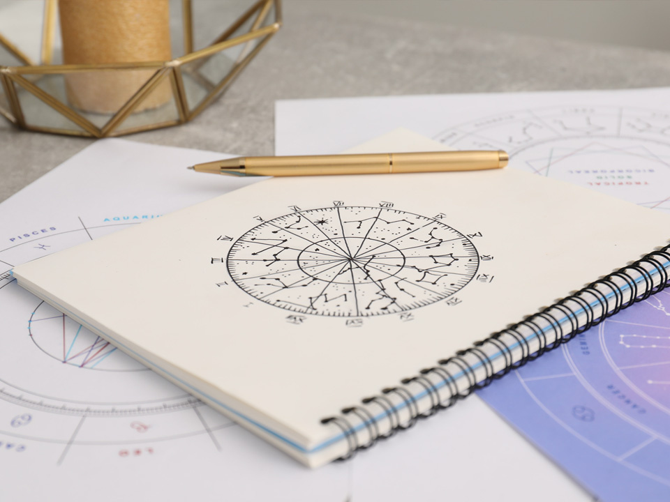     Фото: istockphoto.com/Liudmila Chernetska