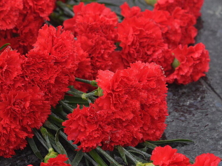     © Фото: ИД «Волгоградская правда» / Сергей Григоренко.