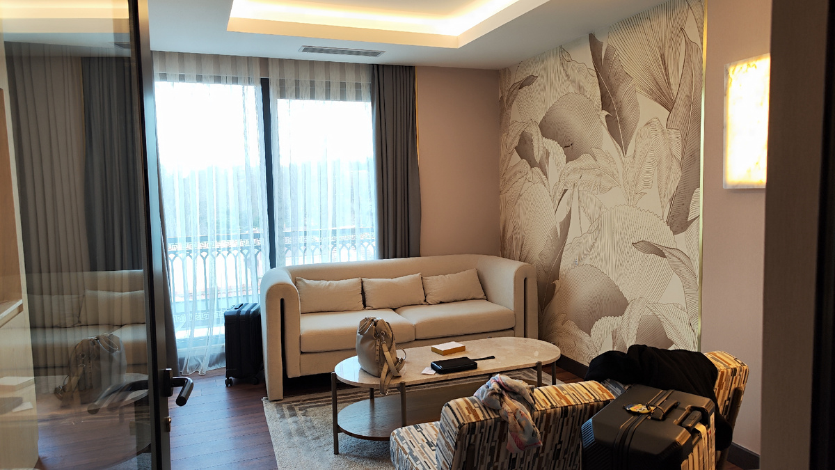 Номер. Гостевая зона 