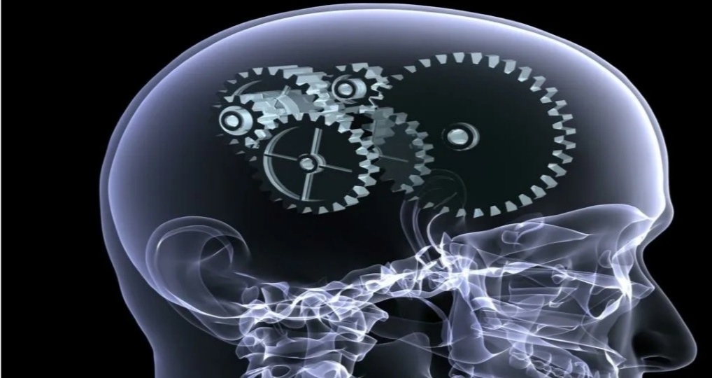 Сохранение и улучшение памяти методом двигательной активности