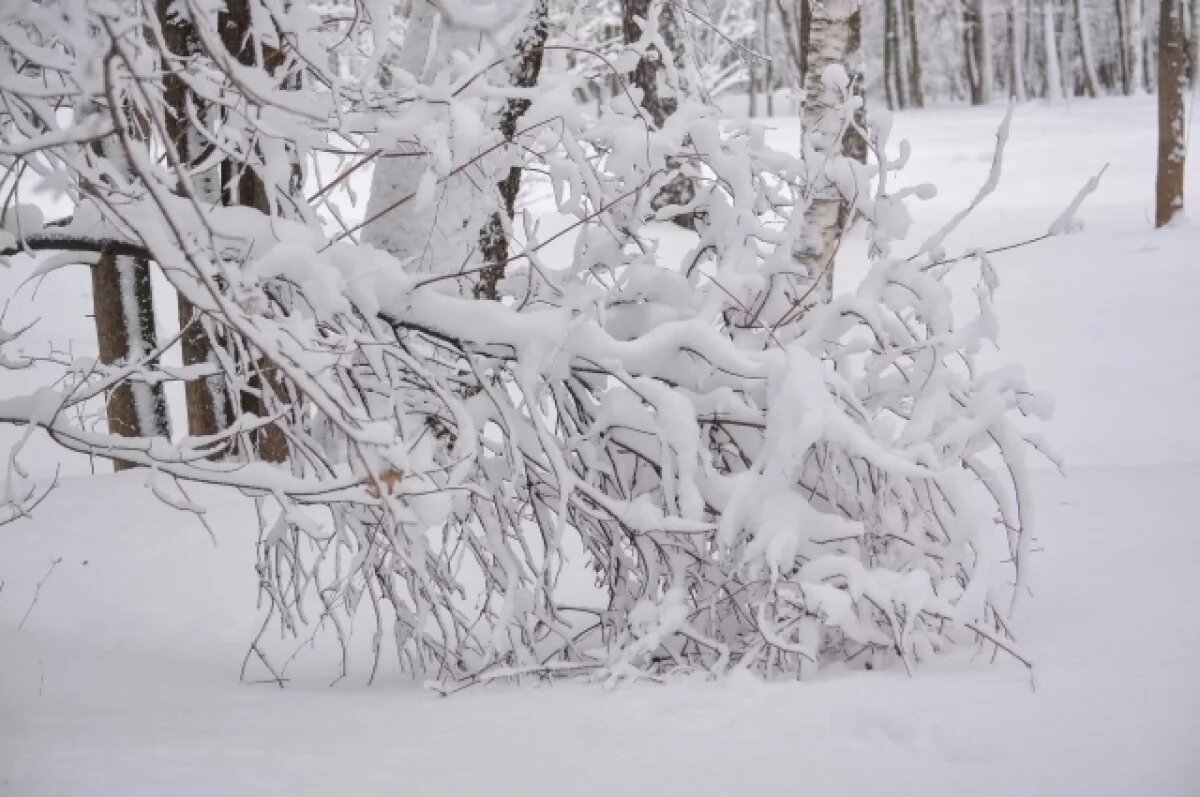    В конце недели к морозу в Калининградской области может добавиться снегопад