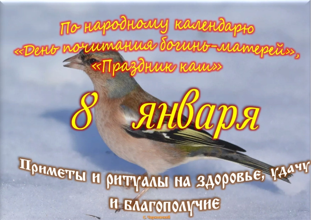 Встречаем новый день