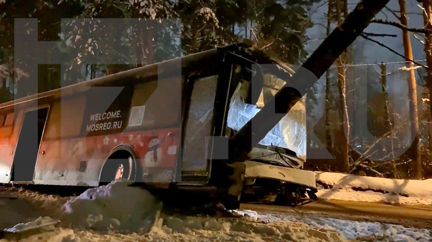    Фото: ИЗВЕСТИЯ; 5-tv.ru