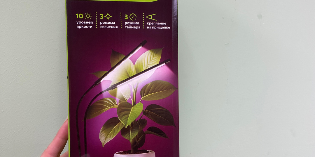 🛍️ «ЧИЖИК» НАЧИНАЕТ ГОД С ЯРКОГО ВЗРЫВА НОВИНОК!💥Товары, ради которых стоит БЕЖАТЬ в магазин🏃‍♀️ Смотрите, что привезли!