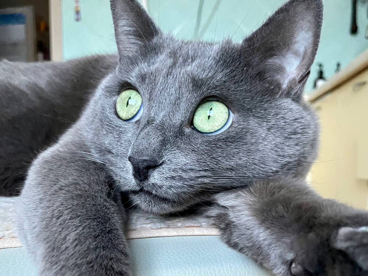 Чего она бормочет?