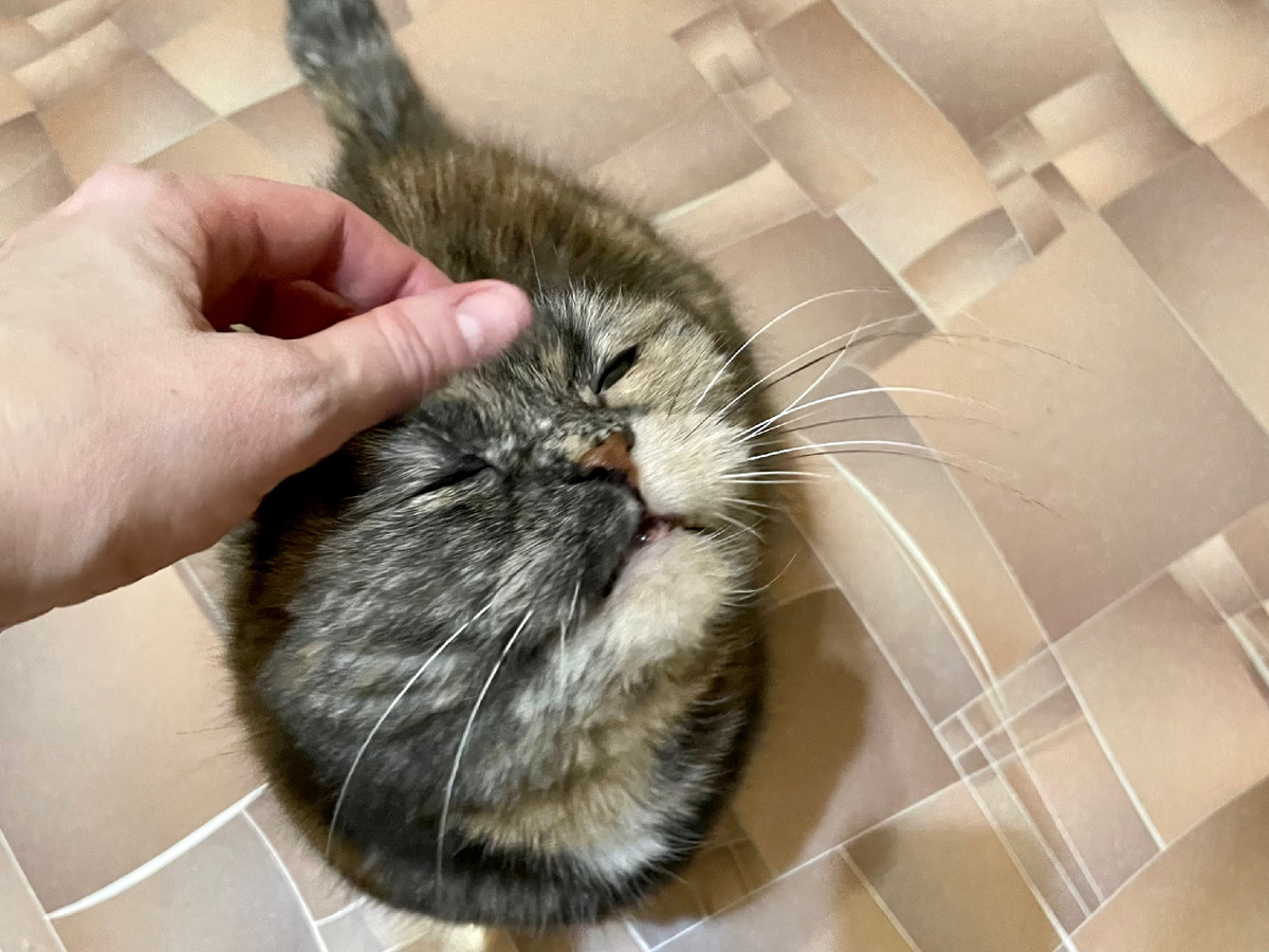 Еще раз скажи, какая я прелесть и солнышко)