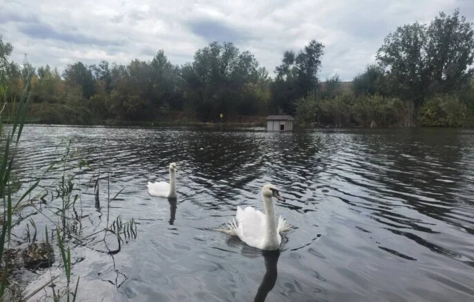    Фото: t.me/priv_rzd_official