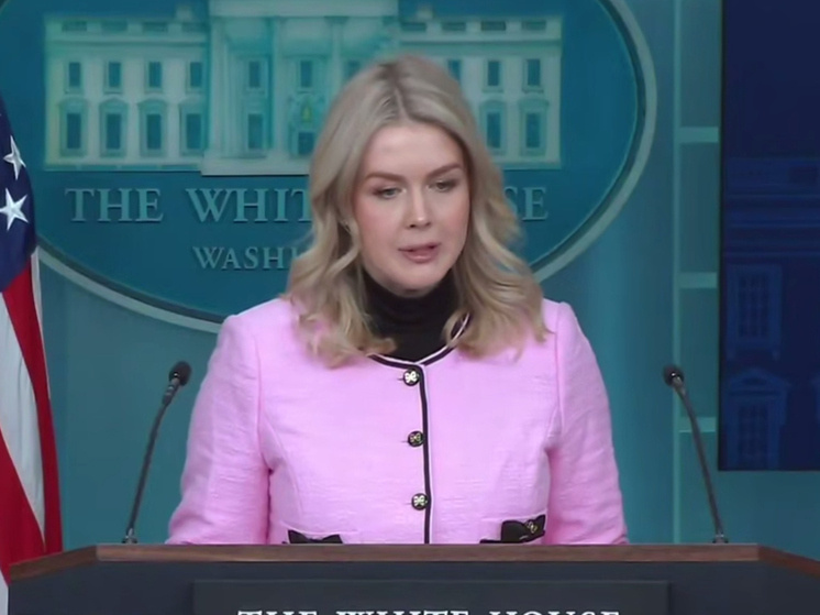     Каролин Ливитт. Фото: кадр из видео.