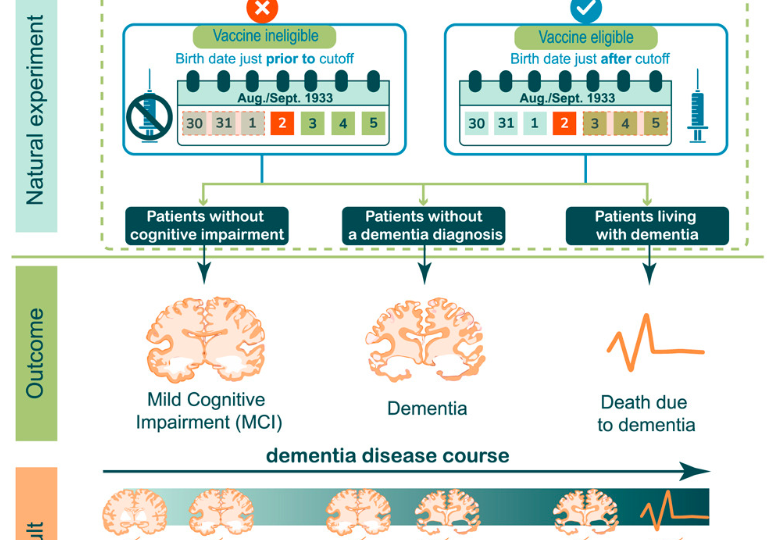 Вакцина от опоясывающего герпеса приостанавливает деменцию