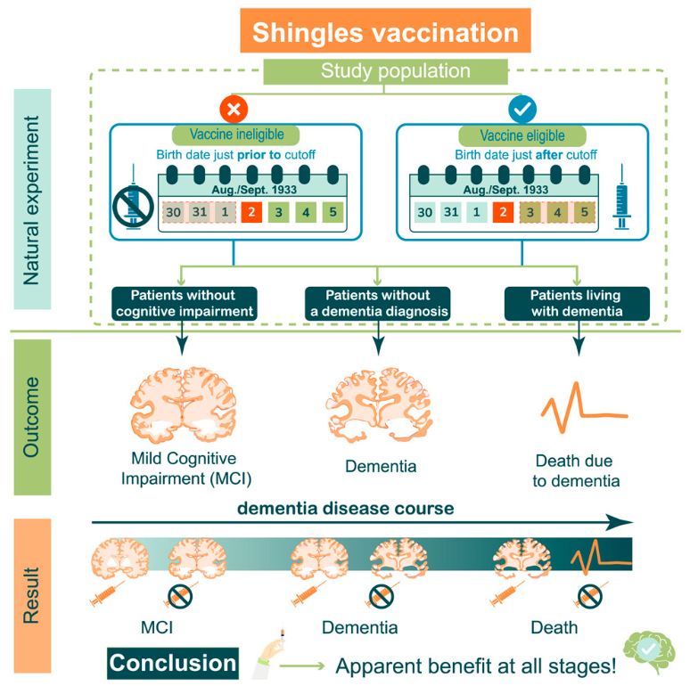 Вакцина от опоясывающего герпеса может не только снижать риск деменции, но даже замедлить ее прогрессирование