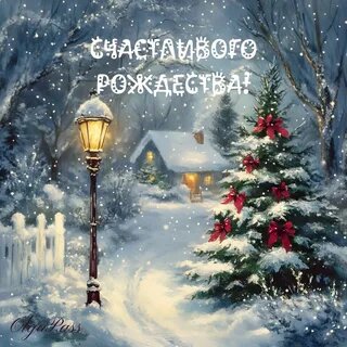 Фото из открытого источника Интернета