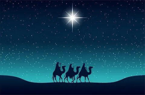 Фото из открытого источника Интернета