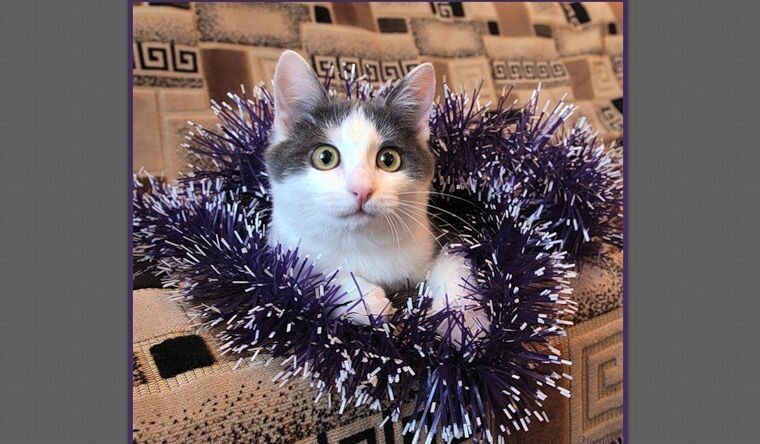 В доме была новогодняя атмосфера