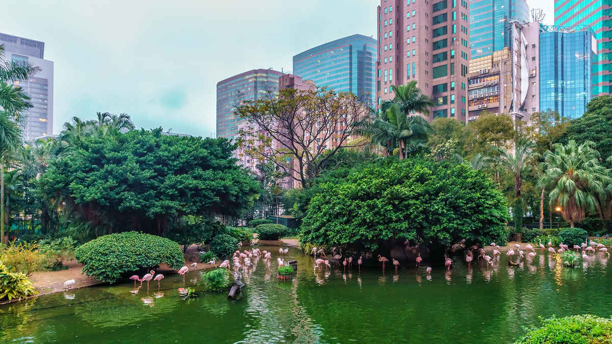 Kowloon Park