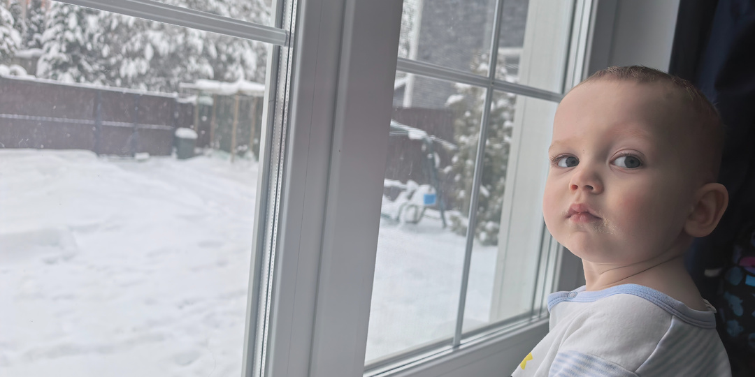 Как мы кошку кормили так, что во дворе погром устроили.