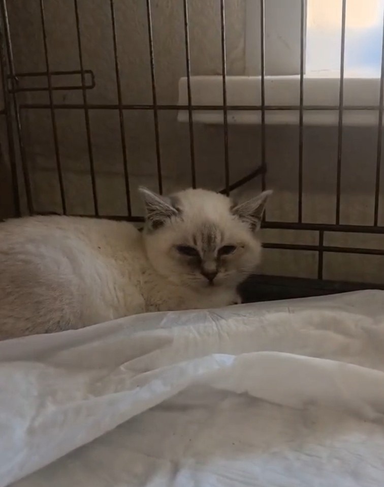 И очень недоверчивые. Фото из архива автора