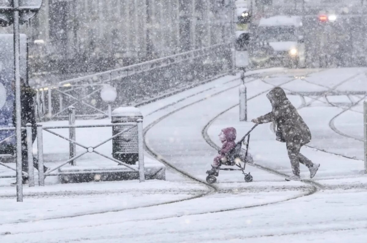    Бельгию, Нидерланды и Люксембург накрыл сильнейший за 10 лет снегопад