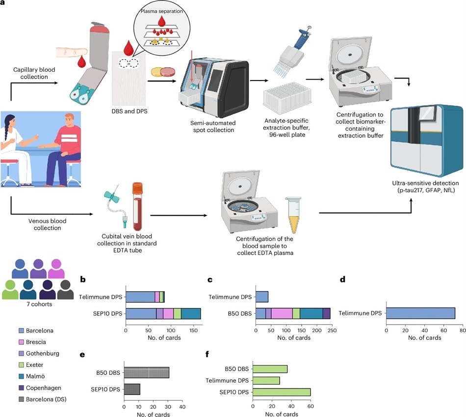 a, Сбор и обработка образцов венозной плазмы, а также капиллярных образцов DPS (сухие пятна плазмы) и DBS (сухие пятна крови). Для сбора образцов DPS и DBS обученный персонал исследования проводил прокол пальца, и несколько капель капиллярной крови наносились на устройства для сбора DPS и DBS. DPS и DBS собирали с помощью полуавтоматических коллекторов пятен и инкубировали с буфером для извлечения, специфичным для аналита, в 96-луночной фильтрационной планшете. После инкубации и центрифугирования элюат немедленно измеряли с помощью ультрачувствительных иммуноанализов на платформе одноклеточного массива (Simoa). b–f, Количество участников и количество устройств для сбора на когорту: капиллярный p-tau217 (b), капиллярный GFAP (c), капиллярный NfL (d), когорта с синдромом Дауна (DS) (e) и когорта с самосбором (f). Панель a создана с использованием BioRender.com.