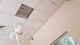    Элина Болдырева Юлия Виноградова