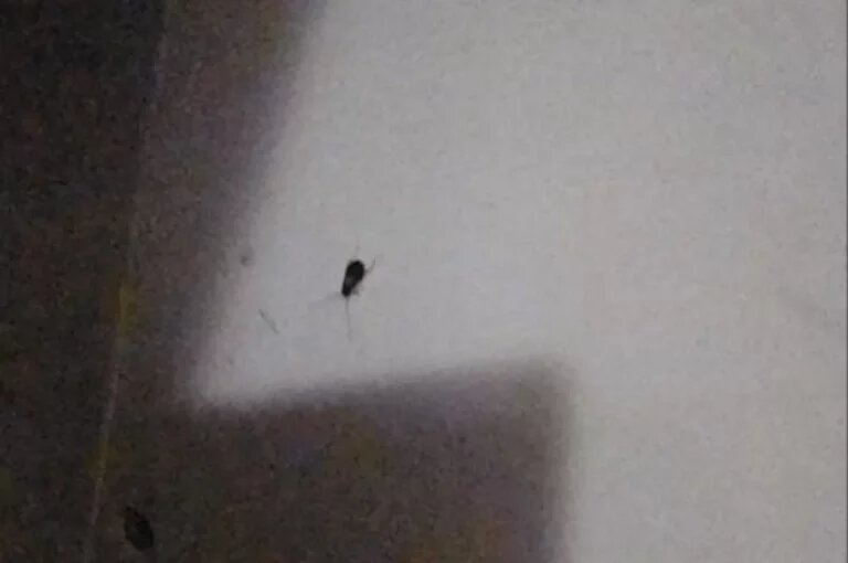    Источник: Аргументы и Факты Redaktor_infoshtab