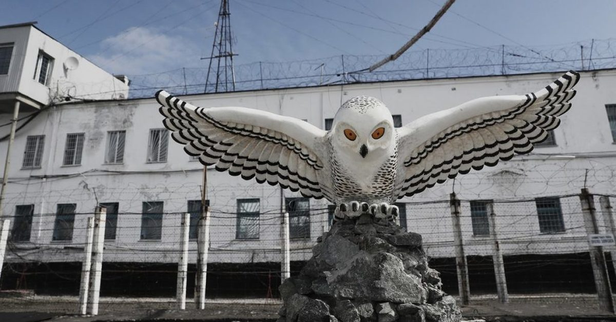 поселок Харп (Полярная сова)