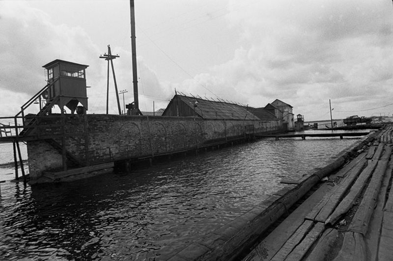 Вологодский пятак