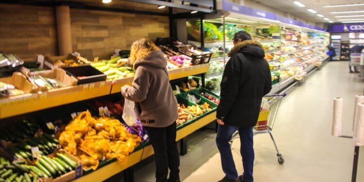    Илья Тушев / Вести Подмосковья