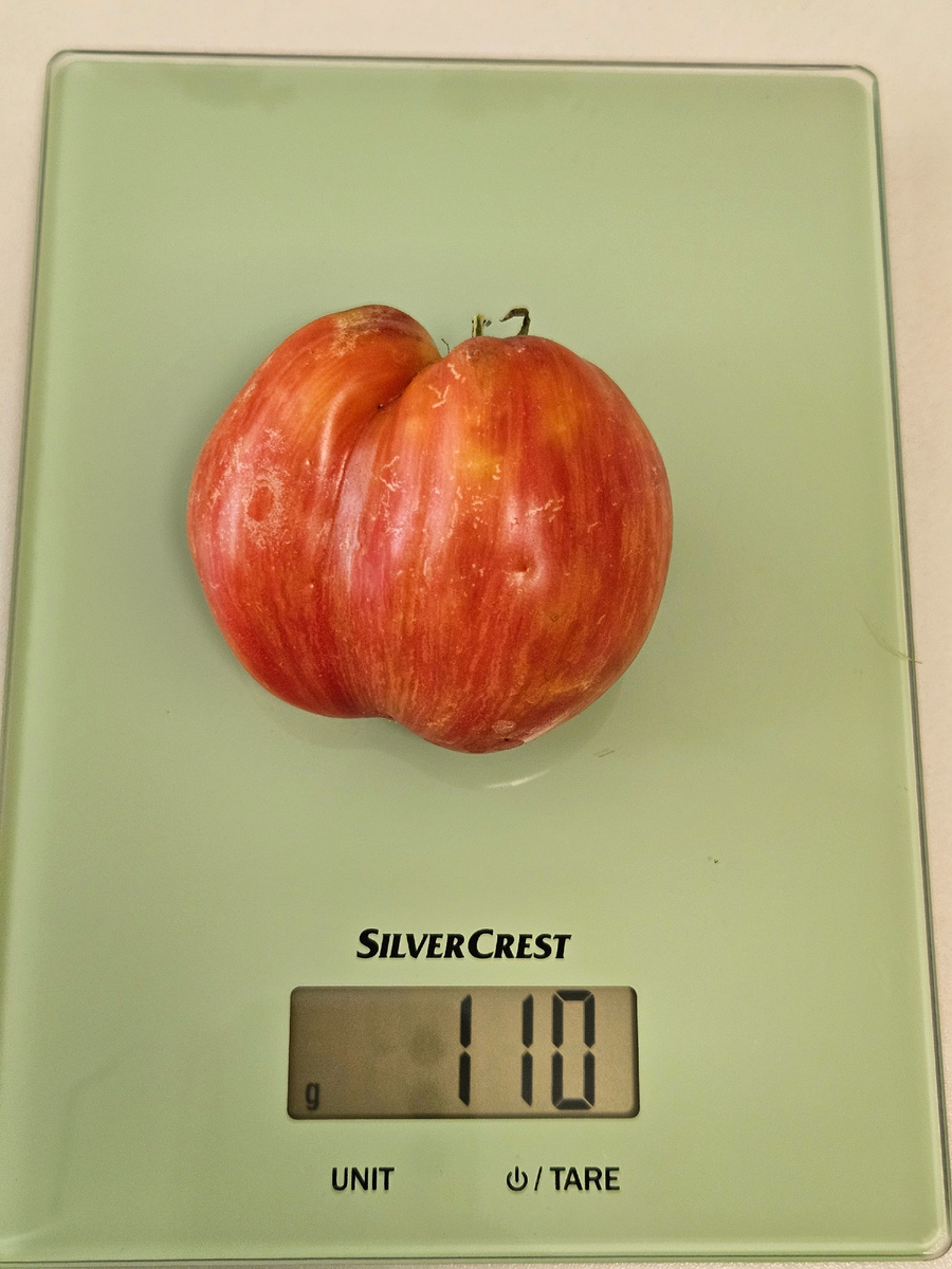 Сорт "Дробленое сердце"