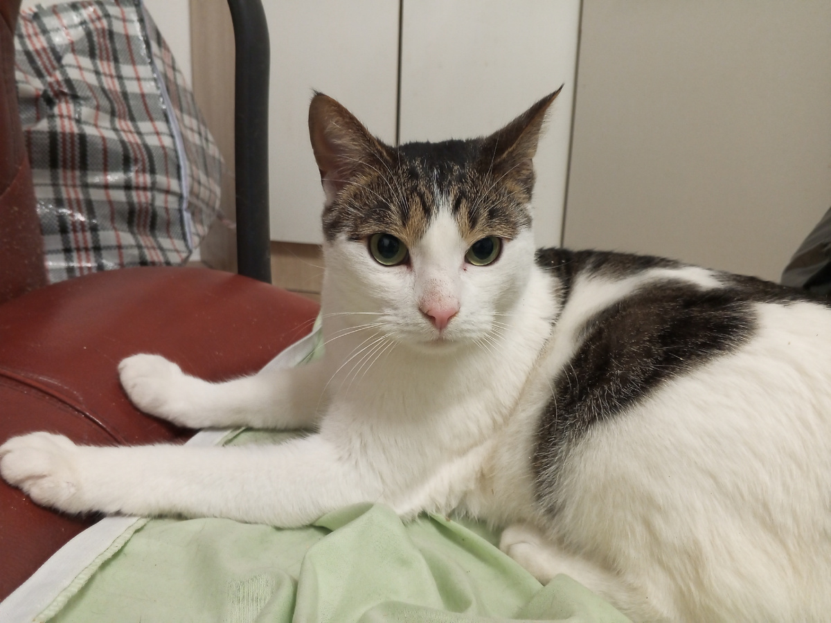 В смысле, почему кресло лежит? Так оно само стояло-стояло и упало. Поспело, наверное.