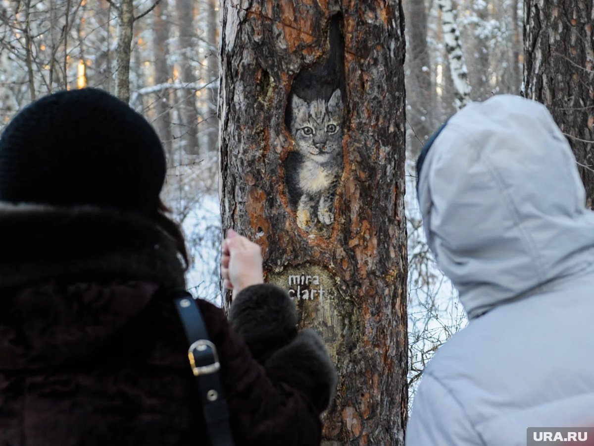    Автолюбитель проехал по тропам городского бора, вызвав волну негодования у челябинцев