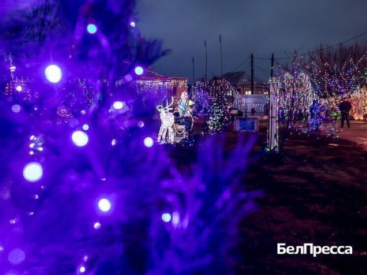     Мигающие елочки и маленькие избушки: корочанский студент превратил бабушкин двор в резиденцию Деда Мороза, Фото: Павел Колядин/БелПресса