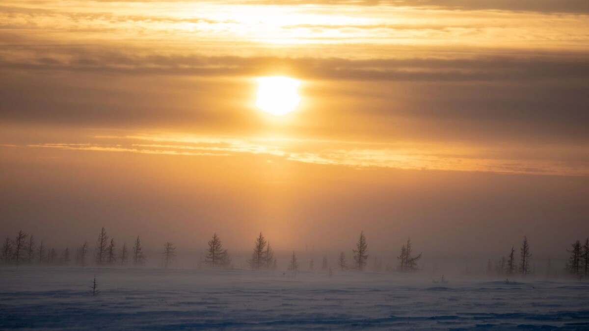   Фото: Сергей Зубков / «Ямал-Медиа»