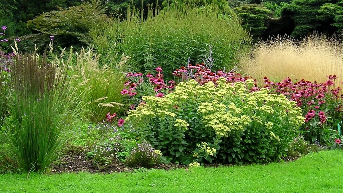 Рукотворный луг.