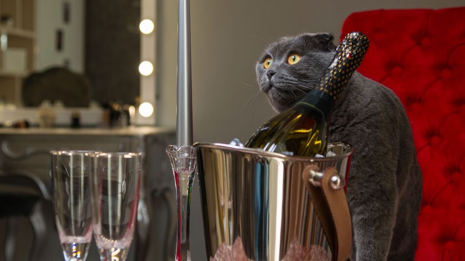 источник Яндекс-картинки