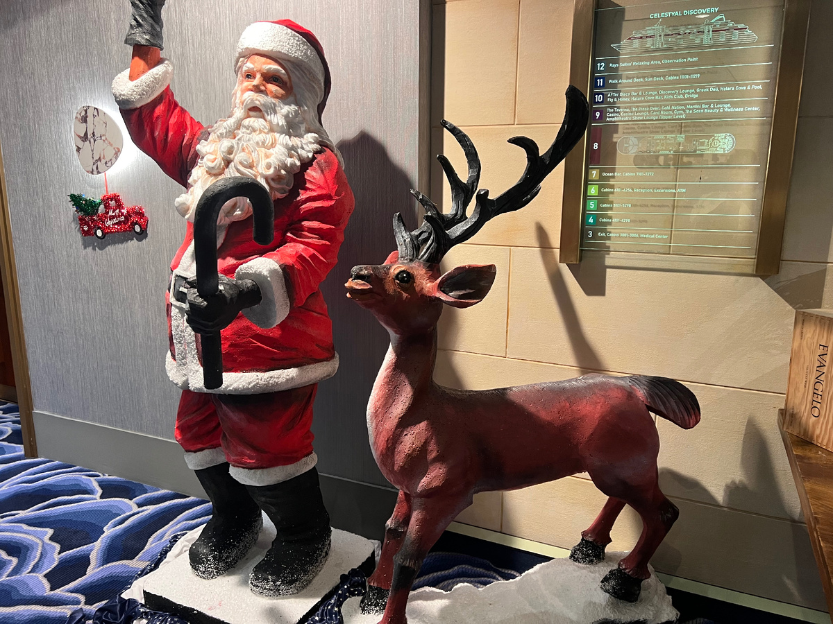 Все фото в статье авторские. Декабрь 2025. Копирование только с разрешения автора