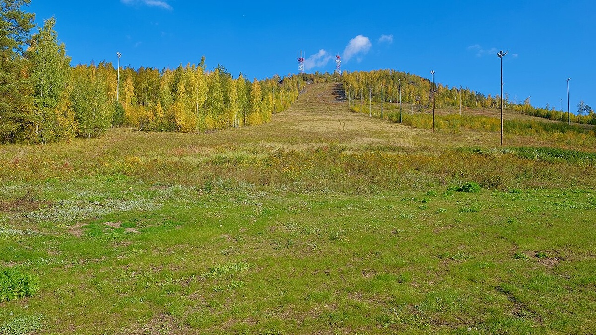 Гора Волчиха (Свердловская область): вид от подножия с юго-западной стороны. Автор: Вячеслав Бухаров. Лицензия: CC BY-SA 4.0.