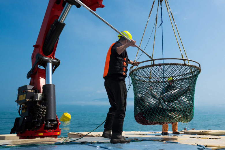    Shutterstock/FOTODOM