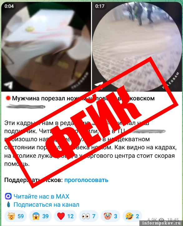 Изображение: пресс-служба УМВД России по Псковской области