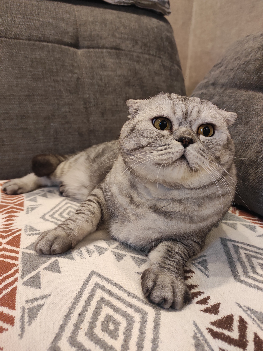 Опять твоя родственница неугомонная тут? 