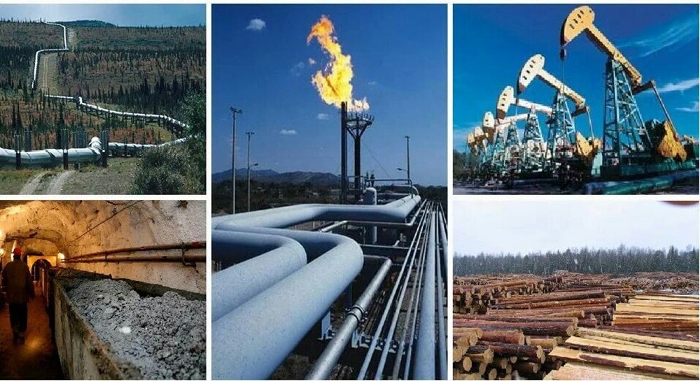 Природные богатства страны в картинках