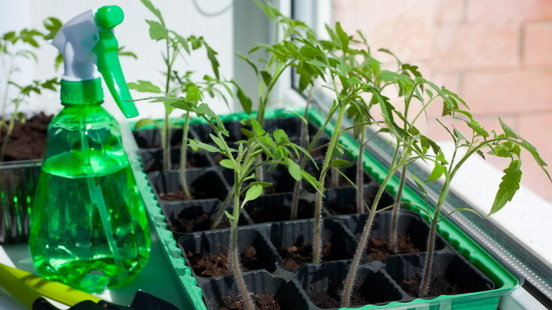 Результат дорогой досветки