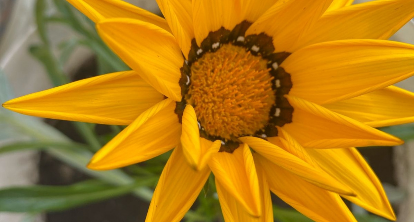    фото women365.ru